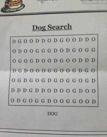 dog_search