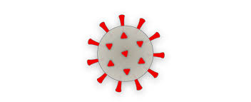 COVID-19 Realizations